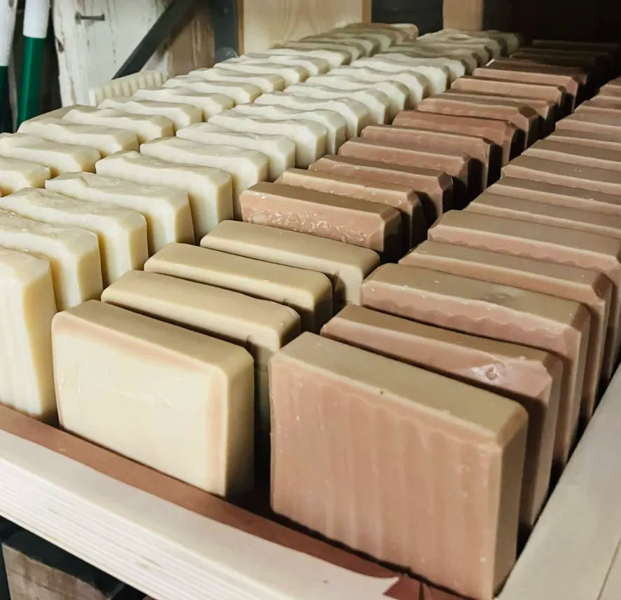 The Salty Scrub Bar